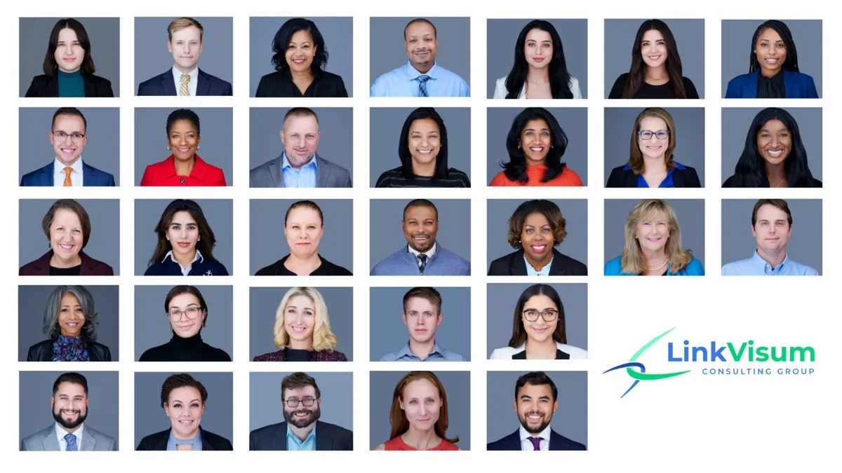 LinkVisum Consulting Group team portrait grid with 35 diverse professionals in business attire against light blue-gray studio background